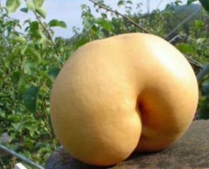 A picture of a ripe peach